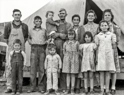 &nbsp; &nbsp; &nbsp; &nbsp; Our second visit with this family, with ten of their eleven children, now ready for their close-up.
February 1939. Brawley, Imperial County, California. "In Farm Security Administration migratory labor camp. Family of mother, father and eleven children, originally from near Mangrum, Oklahoma, where he had been tenant farmer. Came to California in 1936 after the drought. Since then has been traveling from crop to crop in California, following the harvest. Six of the eleven children attend school wherever the family stops long enough. Five older children work along with the father and mother. February 23, two of the family have been lucky and 'got a place' (a day's work) in peas on the Sinclair ranch. Father had earned about $1.73 for ten-hour day. Oldest daughter had earned $1.25. From these earnings they had to provide their transportation to the fields 20 miles away. Mother wants to return to Oklahoma, father unwilling." Photo by Dorothea Lange for the Farm Security Administration. View full size.