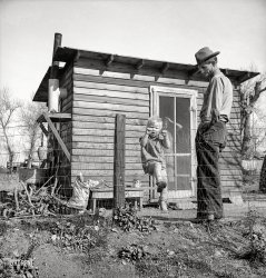 February 1939. "Madera County, California. Family from near Dallas, Texas. Rent is $5 a month. There's no future here. I've been following the work (migratory labor) but there's no chance for a fellow to get aholt hisself in this country. The last job I had is tractor driving for 35 cents an hour. Had that job for five months until a Filipino comes along for 25 cents an hour. I was raised on a cotton farm my father owned, a little place back there, and I'm plumb willing to leave this country for good before I get too old, If I could get the chance to farm." Photo by Dorothea Lange for the Farm Security Administration. View full size.