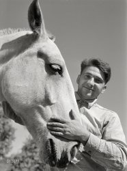 October 1940. "Mr. Thomas Festa, Italian FSA client with his horse on his farm two miles out of Newtown, Connecticut." Medium format acetate negative by Jack Delano for the Farm Security Administration. View full size.