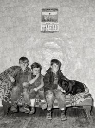 September 1941. "Three of the Gaynor children on their farm near Fairfield, Vermont." Medium format negative by Jack Delano. View full size.