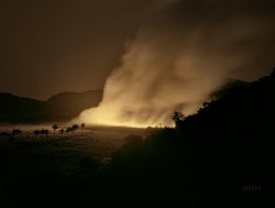 January 1942. "Guanica, Puerto Rico (vicinity). Burning a sugar cane field. This is a process that destroys the leaves and makes the sugar cane easier to harvest." Acetate negative by Jack Delano for the Office of War Information. View full size.
