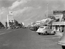 &nbsp; &nbsp; &nbsp; &nbsp; The Times Square Cafeteria, William Penn Hotel and Washington Avenue -- all located far south of their namesakes, in Miami Beach.
April 1939. "One of Miami's streets showing varied small shops, signs, and tourist bureaus. Miami Beach, Florida." Acetate negative by Marion Post Wolcott. View full size.