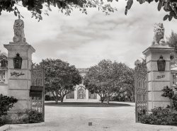 April 1939. "Part of Florida home in wealthy residential section. Miami Beach, Florida." Acetate negative by Marion Post Wolcott for the Farm Security Administration. View full size.