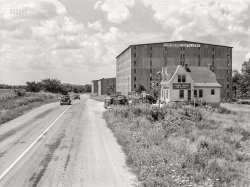 August 1940. "Tom Moore distillery near Bardstown, Kentucky." Medium format acetate negative by Marion Post Wolcott for the Farm Security Administration. View full size.