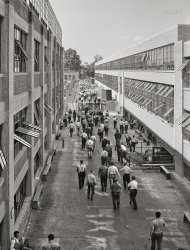 June 1941. "Change of shift at Pratt & Whitney United Aircraft. East Hartford, Connecticut." The sign: DON'T LEAN ON GLASS. Acetate negative by Marion Post Wolcott. View full size.