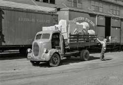 September 1939. "Truck driver who operates between Twin Cities and radius of 150 miles tying in load. Minneapolis, Minnesota." Medium format acetate negative by John Vachon for the Farm Security Administration. View full size.