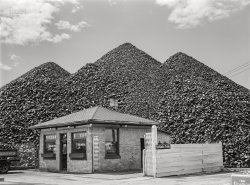 July 1940. "Coal company. Benton Harbor, Michigan." Medium format acetate negative by John Vachon for the Farm Security Administration. View full size.