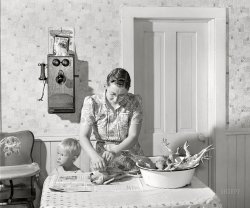 May 1942. "Lancaster County, Nebraska. Mrs. Lynn May, FSA borrower, cleaning a chicken." Acetate negative by John Vachon for the Farm Security Administration. View full size.