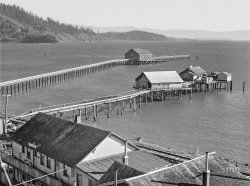 October 1941. "Waterfront of Bay City, Oregon, a fishing town." Medium format acetate negative by Russell Lee for the Farm Security Administration. View full size.