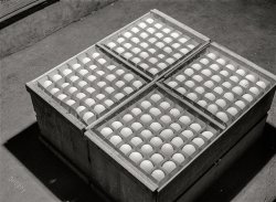 January 1942. "Sonoma County, California. Eggs." Medium format acetate negative by Russell Lee for the Farm Security Administration. View full size.