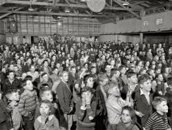 February 1942. "Tulare County, California. FSA farm workers' camp. At the movies." Not to be outdone by our previous FSA photo, we have two birders here, and three birds! Medium format acetate negative by Russell Lee for the Farm Security Administration. View full size.