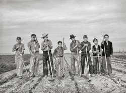 February 1942. "Eleven Mile Corner, Arizona. FSA farmworkers' community. Boys learning to garden in the vocational training class. This is vocational training as provided for in the Smith-Hughes bill." Photo by Russell Lee for the Farm Security Administration. View full size.