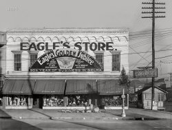 December 1935. "Eagle's Store -- Selma, Dallas County, Alabama." 8x10 inch nitrate negative by Walker Evans for the U.S. Resettlement Administration. View full size.