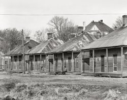 March 1936. "Negro houses. Vicksburg, Mississippi." 8x10 inch nitrate negative by Walker Evans for the Resettlement Administration. View full size.