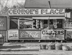 February 1936. "Roadside sandwich stand. Ponchatoula, Tangipahoa Parish, Louisiana." 8x10 inch nitrate negative by Walker Evans for the Resettlement Administration. View full size.