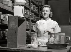 May 1942. Ames, Iowa. "Conducting diet and nutrition experiments on rats in the animal laboratory of the home economics department at Iowa State College." Acetate negative by Jack Delano for the U.S. Office of the Coordinator of Information. View full size.
