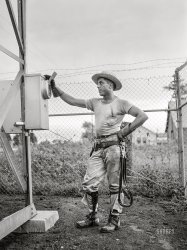July 1942. "Hayti, Missouri. Rural Electrification Administration lineman inspecting a meter at a substation." Photo by Arthur Rothstein for the U.S. Foreign Information Service. View full size.