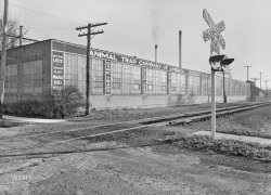 November 1942. "Lititz, Pennsylvania. Small town in wartime. The Animal Trap Company of America now makes bullets, but almost no traps. Mrs. Julian Bachman is a gauge inspector for the company." Photo by Marjory Collins for the Office of War Information. View full size.