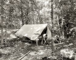 Cos Cob, Connecticut, circa 1908. "Owanoke Prospector's Camp -- Wyndygoul." Camping on the estate of writer-naturalist Ernest Thompson Seton, a founder of the Boy Scouts of America. Points of interest in this 8x10 glass plate: many trees camouflaging one ambush. Bain News Service. View full size.