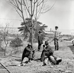 1865. "City Point, Virginia. Scouts at Secret Service headquarters in the last months of the war." Wet plate glass negative. View full size.
