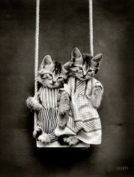 1914. "Two kittens in costume on swing." Posed by Harry W. Frees, founding father of photographic feline anthropomorphism. View full size.