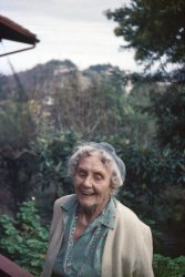 Frances Dorsey "Fanny" Cagwin, along with her husband George, were our neighbors in Larkspur, California, where they'd lived since 1905. Frances had been a school teacher in Virginia City, Nevada when she met George, and they married in 1887 at Carson City, where he was employed at the U.S. Mint. She was an accomplished musician, and in the living room of their Craftsman style home could be found a gleaming Steinway rosewood square grand piano. A wedding gift of her father to her mother, it had made the trip from New York by ship around Cape Horn to San Francisco, then by horse-drawn freight over the Sierras to Virginia City. Follow the link in George's name to see him and get a glimpse of his eventful life. Frances died in 1958 at the age of 92, and George in 1959 at 102. My big brother, then in high school and doing gardening work and errand-running for the Cagwins, took this Ansco Color slide with his then-new Leidolf Lordox 24x36 35mm camera. View full size.