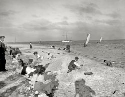 Miami circa 1905. "On the shore of Biscayne Bay, Florida." 8x10 inch dry plate glass negative, Detroit Publishing Company. View full size.