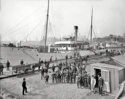 Circa 1905. "Payday for the stevedores. Baltimore, Maryland." 8x10 inch dry plate glass negative, Detroit Publishing Company. View full size.