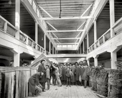 Louisville, Kentucky, circa 1906. "A tobacco market." 8x10 inch dry plate glass negative, Detroit Publishing Company. View full size.