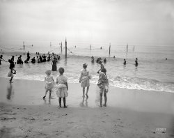 Circa 1905. "On the beach at Coney Island." The bathing-costumes this season are even skimpier than last year's. 8x10 inch glass negative. View full size.