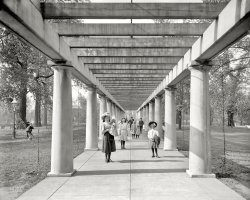 Circa 1907. "Colonnade, Central Park, Louisville, Kentucky." In addition to the gleaming white public buildings seen here earlier, the Derby City was also home to many gleaming white people. 8x10 inch glass negative. View full size.