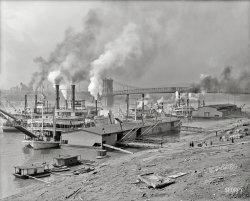 The Ohio River circa 1907. "Along the levee at Cincinnati." The Coney Island Co. sidewheeler Island Queen and her retinue. 8x10 glass negative. View full size.