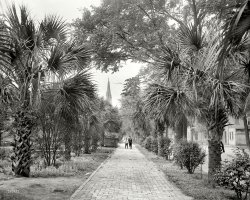 Circa 1907. "Colonial Park -- Savannah, Georgia." 8x10 inch dry plate glass negative, Detroit Publishing Company. View full size.