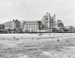 Atlantic City circa 1910. "A group of big hotels -- Dennis and Marlborough-Blenheim." 8x10 glass negative, Detroit Publishing Company. View full size.
