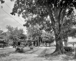 Mobile, Alabama, circa 1910. "A pretty bit of Monroe Park -- bandstand and yacht club pier." 8x10 inch glass negative, Detroit Publishing Co. View full size.