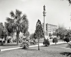 Jacksonville, Florida, circa 1910. "Hemming Park. Confederate monument and Y.M.C.A." 8x10 glass negative, Detroit Publishing Co. View full size.