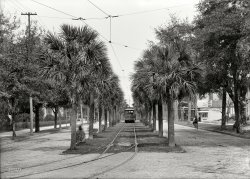 Jacksonville, Florida, circa 1903. "Main Street streetcar." 5x7 inch dry plate glass negative, Detroit Publishing Company. View full size.