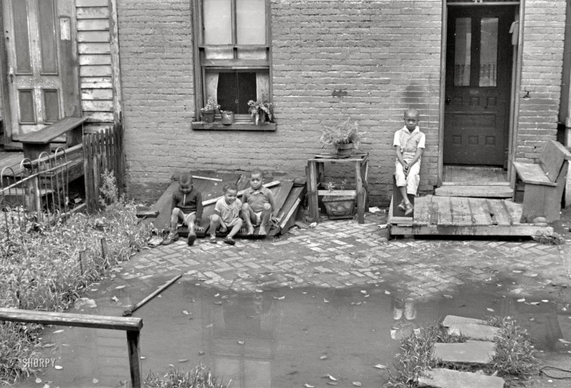 Waterfront Property: 1935 September 1935. A closeup of the Washington, D.C., row house seen here over the weekend. "Front of old brick structure in section near Union Station. Land is low here and water collects in front and backyard after a rain and remains for many days. Entrances to privies are usually under water. Interior of homes similar in shabbiness to exterior." 35mm nitrate negative by Carl Mydans for the Resettlement Administration. View full size.