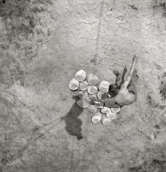 May 1942. "Running up a barrage balloon. Scene at the U.S. Marine Corps glider detachment training camp at Parris Island, South Carolina." Photo by Alfred Palmer for the Office of War Information. View full size.