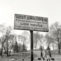 Yes, Billy was lost. But he was also plump and juicy!
May 1943. "Washington, D.C. A sign at the National Zoological Park." Photo by Esther Bubley for the Office of War Information. View full size.