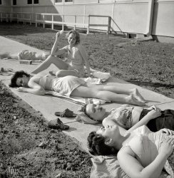 &nbsp; &nbsp; &nbsp; &nbsp; Step on a crack ...
June 1943. Arlington County, Virginia. "Arlington Farms, war duration residence halls. Sunbathers on the sidewalk in the back of Idaho Hall." Photo by Esther Bubley for the Office of War Information. View full size.