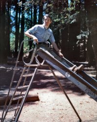 Yes, even in Idyllic Larkspur™ we had graffiti, but since this is 1970 and since my home town was something of a counterculture mecca at the time, instead of gang tags, the playground equipment is emblazoned with Peace and Love. Who knows, it may have been applied by Janis Joplin, whose house was less than a quarter mile away here in Baltimore Canyon. From time to time, we'd see also Ken Kesey's Merry Pranksters bus tooling about town. But as you can see, the counterculture was not exactly my bag, man, unless my groovy belt could be interpreted as a sign of a repressed desire to turn on, tune in and drop out. But nothing like that happened until a few years later, and then only for special occasions. Anyway, by that time all that kind of stuff was becoming rather mundanely mainstream. Snapped by a friend with my Polaroid camera. View full size.